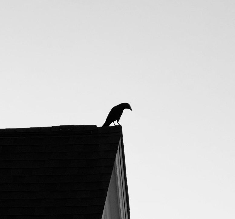 Introversion vs Isolation